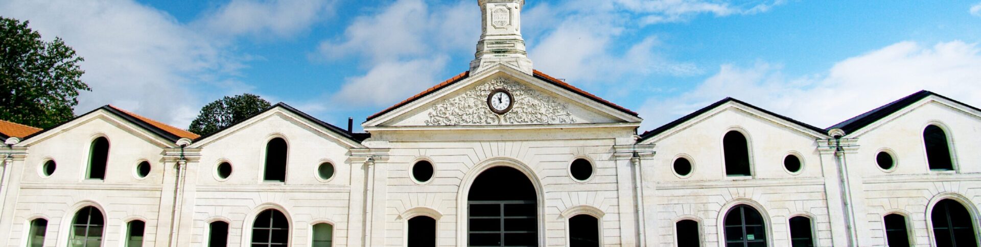 Les métamorphoses des sites industriels : les chais Magelis